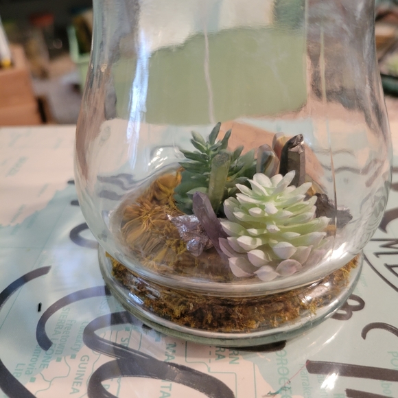 Power pack mini terrarium - Picture 3 of 5